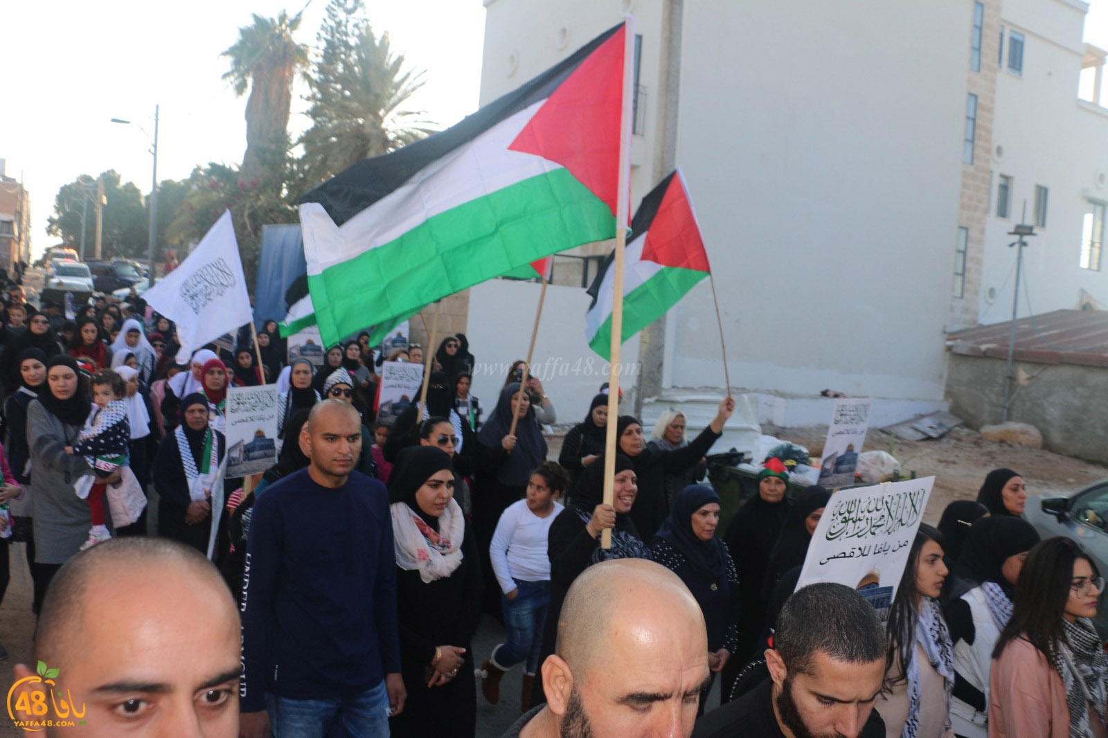 yaffa modahara jeq (98).jpg